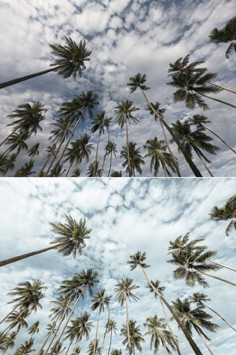 n-hfrosch-presets-pure-nature-presets-lightroom-filter-download image 4