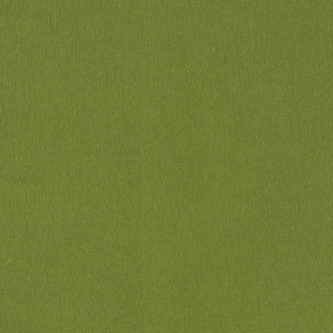 n-hfrosch-stoffe-bio-b-ndchenware-khaki-bio-baumwolle image 2