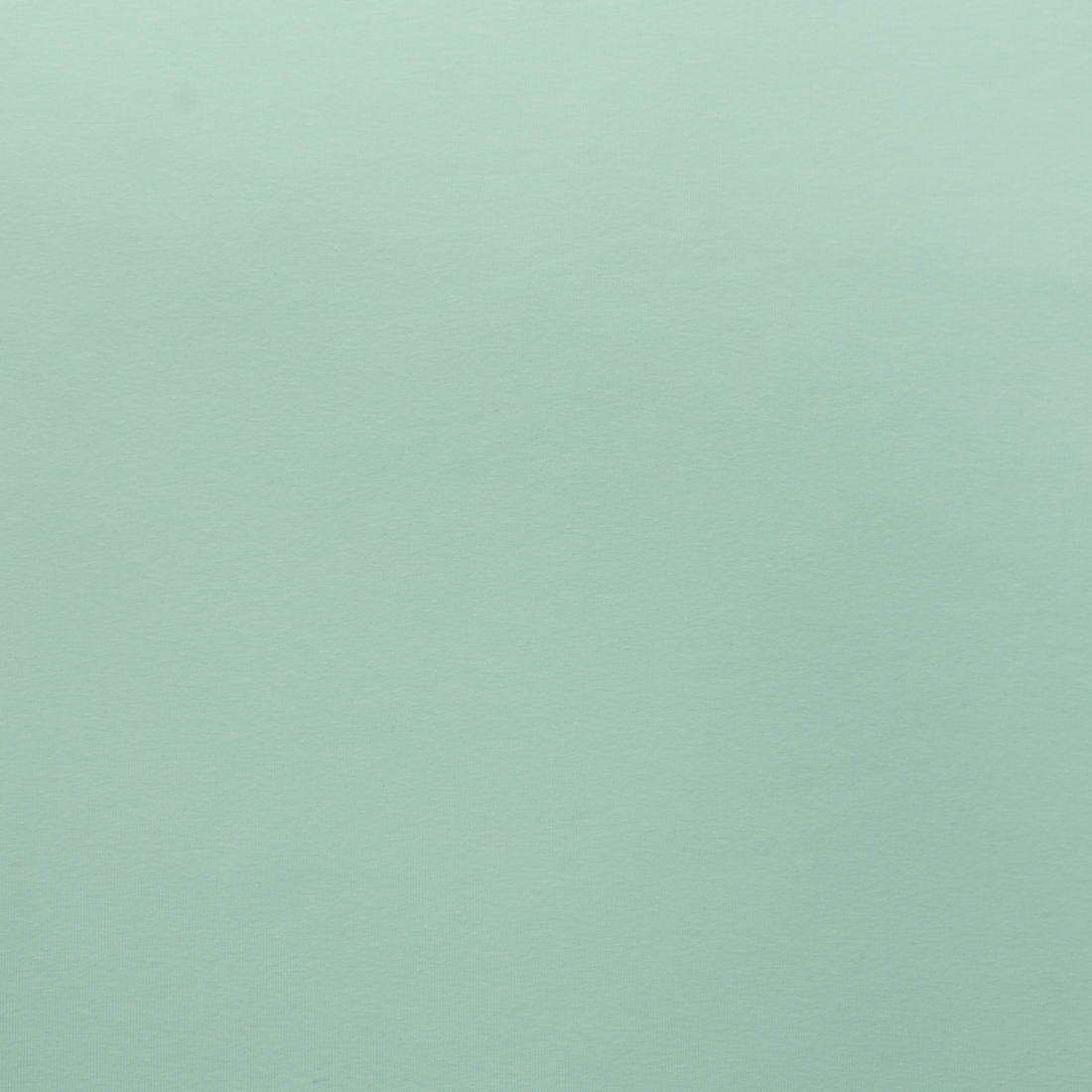 n-hfrosch-baumwolljersey-uni-jerseystoff-mint-220g image 2