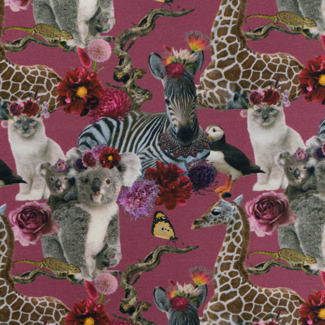 n-hfrosch-stoffe-crazy-funny-animals-french-terry-tiere image 4