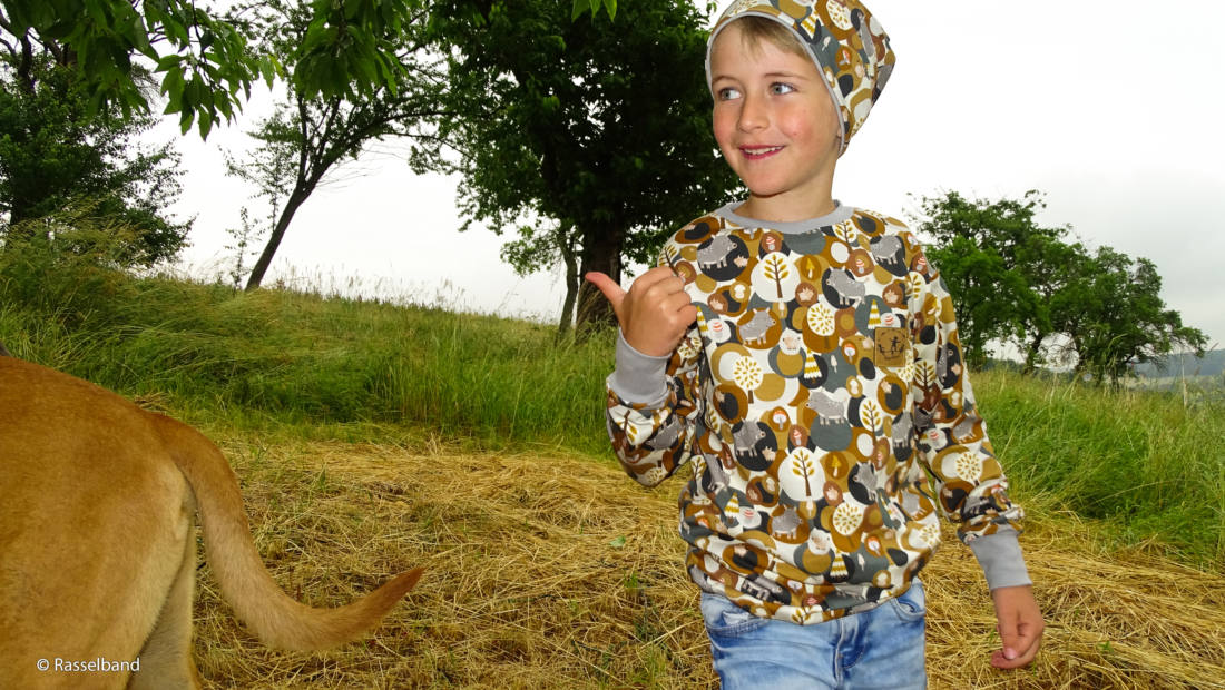 n-hfrosch-steinbeck-woody-sweat-ocker-wildschweine image 5