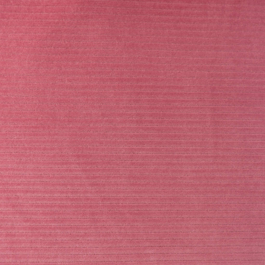 n-hfrosch-nicki-breitcord-jersey-altrosa-rippen-meterware image 2